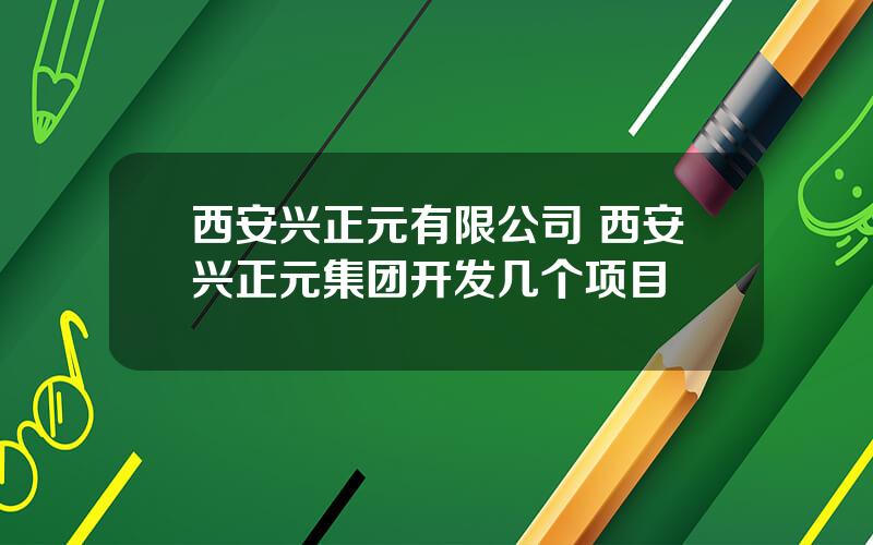 西安兴正元有限公司 西安兴正元集团开发几个项目